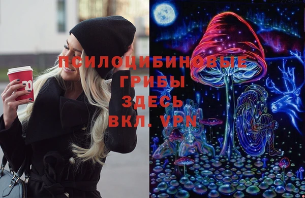 амф Новокубанск