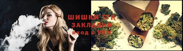 СК Новозыбков