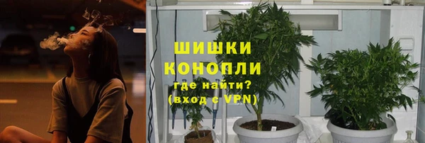 шишки Новодвинск