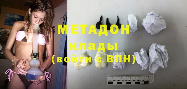 шишки Новодвинск
