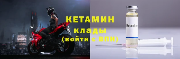 шишки Новодвинск