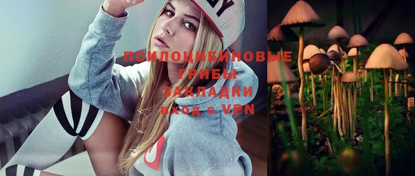 трава Горно-Алтайск